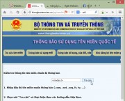 Hướng dẫn khai báo sử dụng tên miền quốc tế theo quy định của Bộ TT&TT